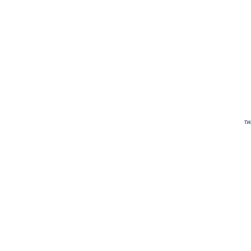 RanchRider